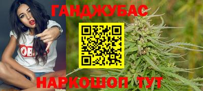 крисы Ставрополь