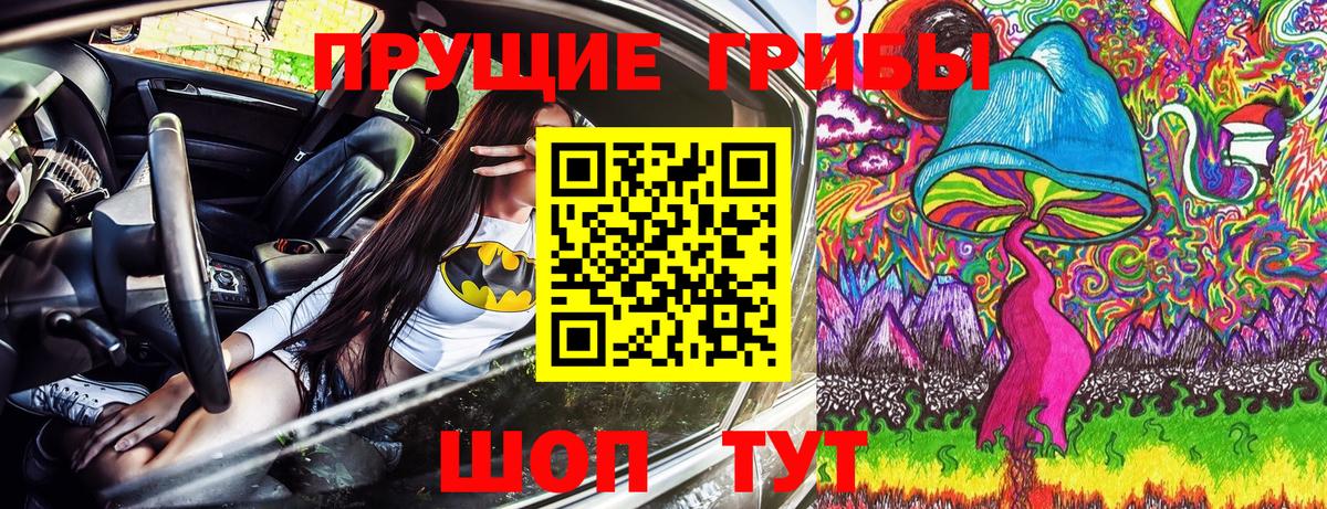 Галлюциногенные грибы Psilocybe  закладка  Галлюциногенные грибы ЛСД  Новочебоксарск  Вход с VPN 