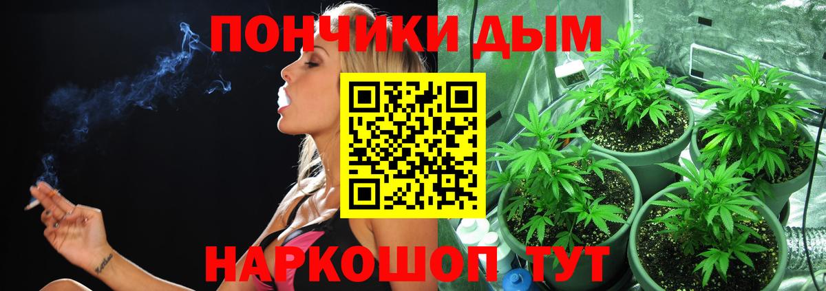 Шишки марихуана семена  Шишки марихуана SATIVA & INDICA  Каннабис марихуана  Новочебоксарск  Каннабис Ganja  Вход с VPN 